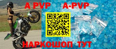 молекула духа Берёзовский