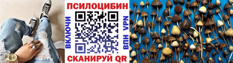 сколько стоит  Гудермес  OMG онион  Псилоцибиновые грибы ЛСД 