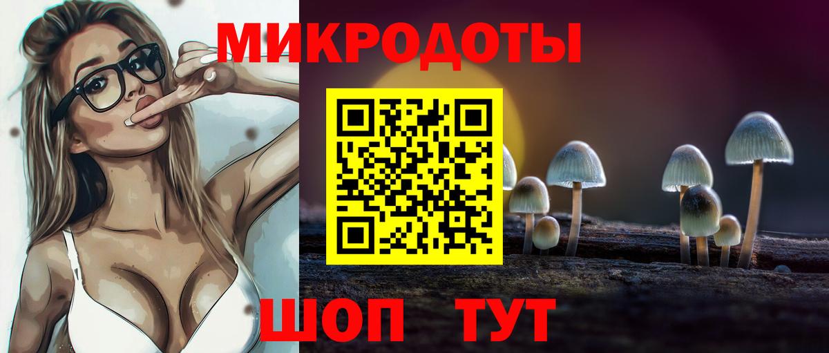Галлюциногенные грибы Psilocybe  Вход с VPN  Гудермес 