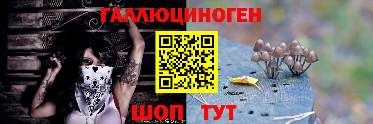 Галлюциногенные грибы GOLDEN TEACHER  купить закладку  Гудермес 